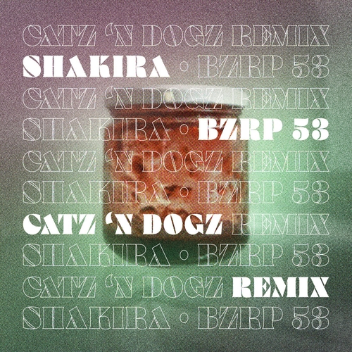 Catz 'n Dogz - Shakira - Bzrp 53 (Catz 'N Dogz Remix) [197188103583]